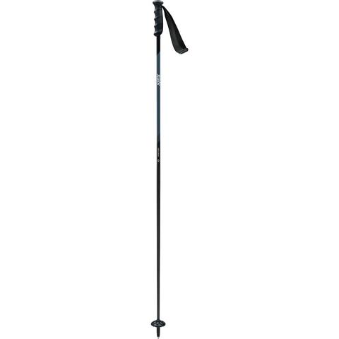 Swix Excalibur Ski Pole