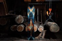 Apex Orca Snowboard