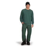 Men's Explorer Tech Crew - Ivy Green