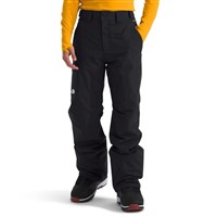 Men's Freedom Insulated Pant