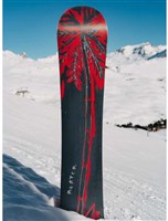 Unisex Blossom Snowboard - Cherry Blossom