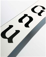 Women's Fiction Snowboard