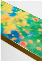 Women's Gloss Snowboard