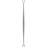 Men's ARV 100 Skis - Black
