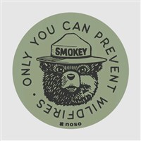 Smokey Bear Patch Collection